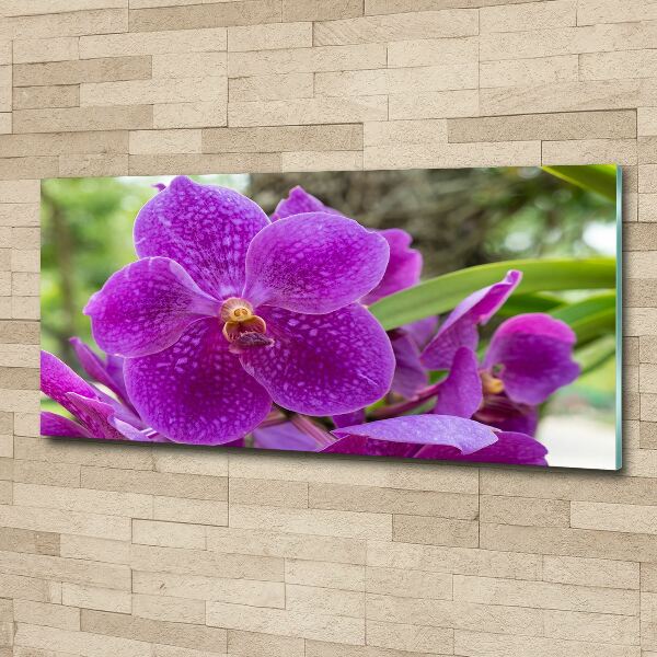 Quadro vetro acrilico Orchidea
