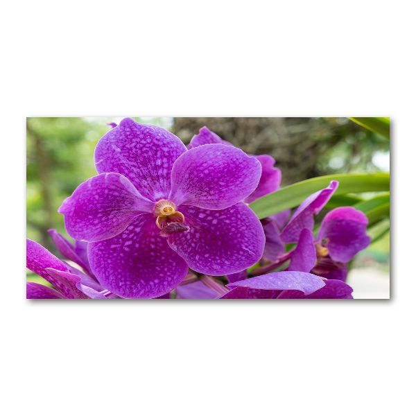 Quadro vetro acrilico Orchidea