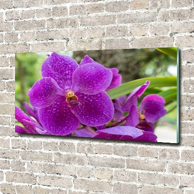Quadro vetro acrilico Orchidea