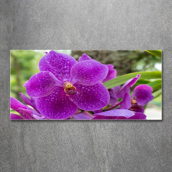 Quadro vetro acrilico Orchidea
