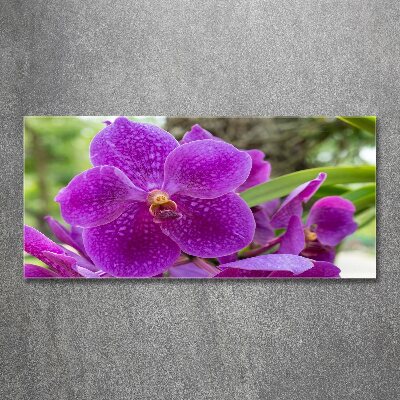 Quadro vetro acrilico Orchidea