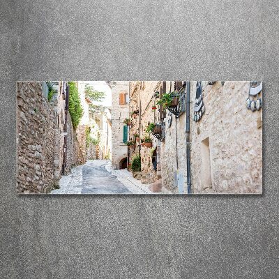 Quadro vetro acrilico Viale cittadino