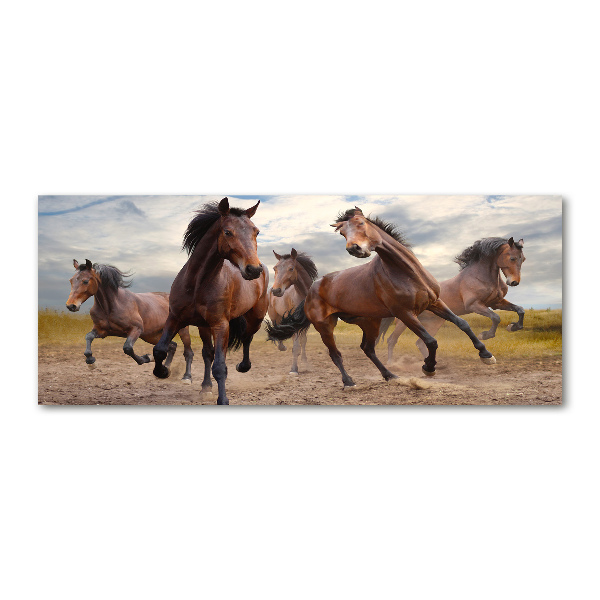 Quadro vetro acrilico Cinque cavalli