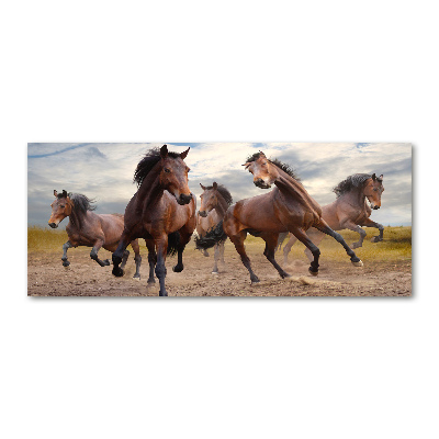 Quadro vetro acrilico Cinque cavalli