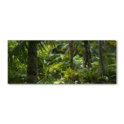 Quadro in vetro acrilico Foresta tropicale