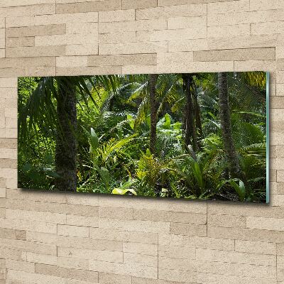 Quadro in vetro acrilico Foresta tropicale