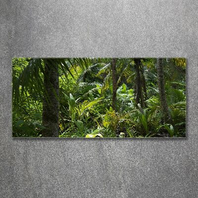 Quadro in vetro acrilico Foresta tropicale