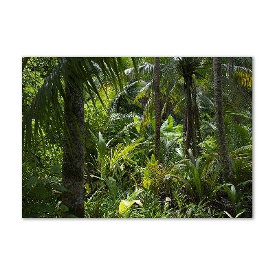 Quadro in vetro acrilico Foresta tropicale