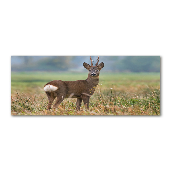 Quadro su vetro acrilico Roe