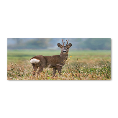 Quadro su vetro acrilico Roe