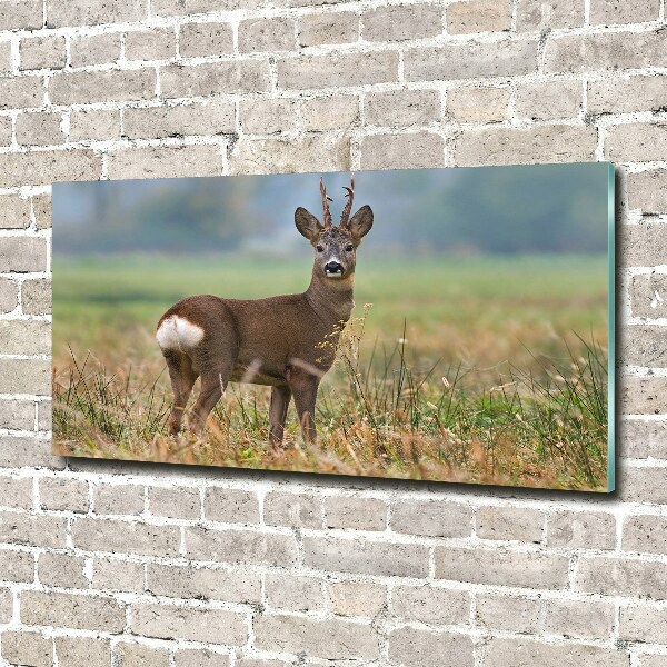 Quadro su vetro acrilico Roe