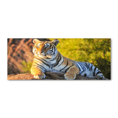 Quadro in vetro acrilico Ritratto di una tigre