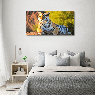 Quadro in vetro acrilico Ritratto di una tigre