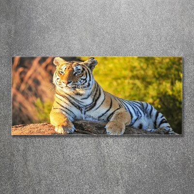 Quadro in vetro acrilico Ritratto di una tigre