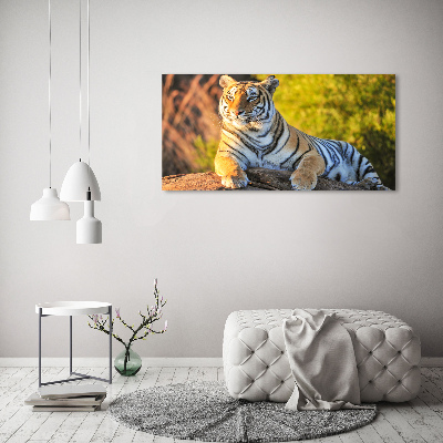 Quadro in vetro acrilico Ritratto di una tigre