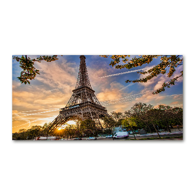 Quadro vetro acrilico Torre Eiffel Parigi