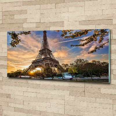 Quadro vetro acrilico Torre Eiffel Parigi