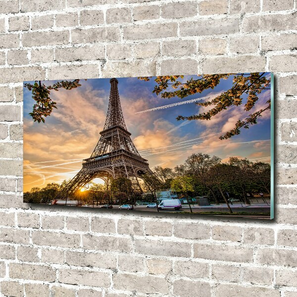 Quadro vetro acrilico Torre Eiffel Parigi