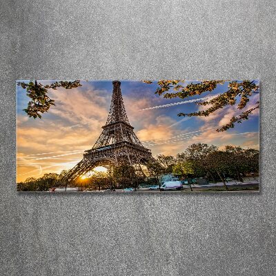 Quadro vetro acrilico Torre Eiffel Parigi