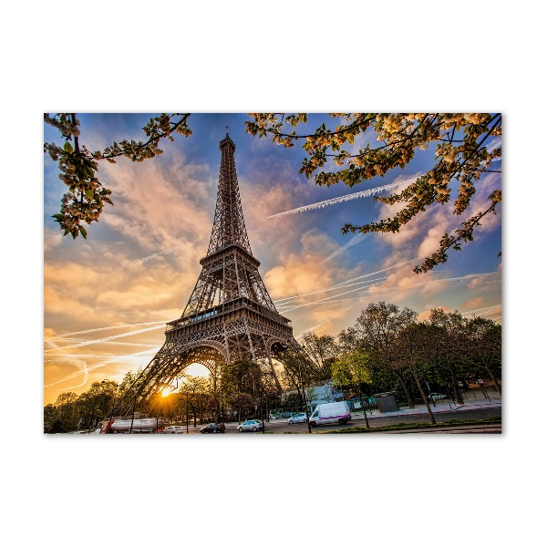 Quadro vetro acrilico Torre Eiffel Parigi