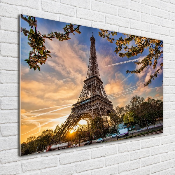 Quadro vetro acrilico Torre Eiffel Parigi