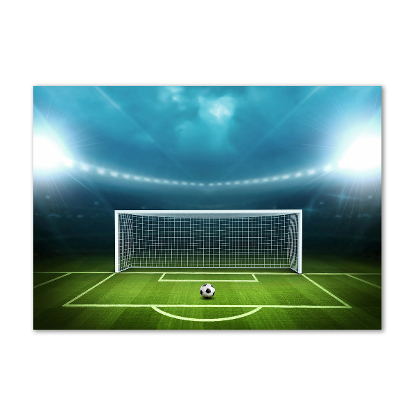 Quadro su vetro acrilico Stadio