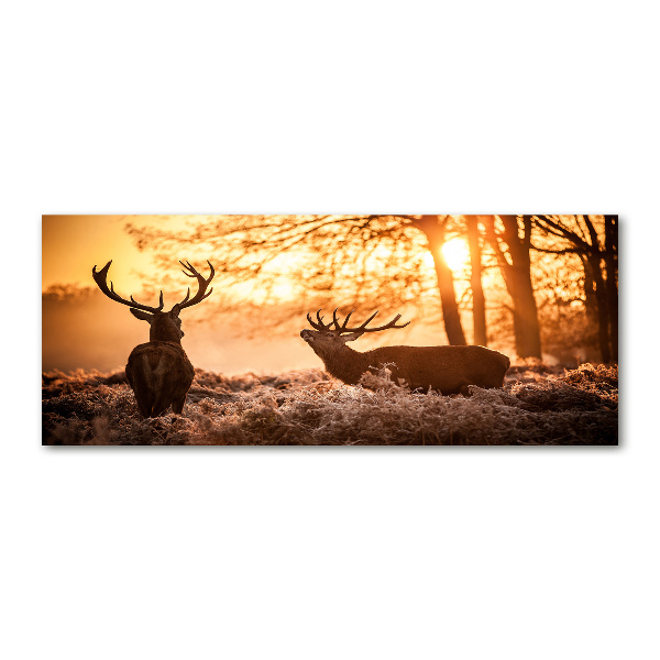 Quadro vetro acrilico Alba di cervo