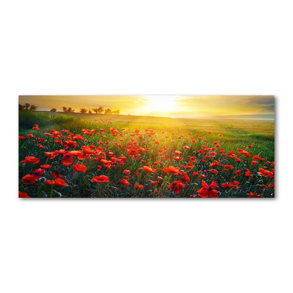 Quadro in vetro acrilico Campo di papaveri
