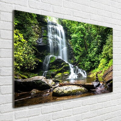 Quadro vetro acrilico Cascata nella foresta