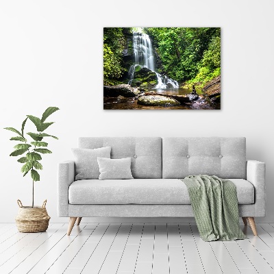 Quadro vetro acrilico Cascata nella foresta