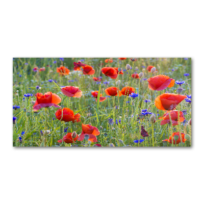 Quadro in vetro acrilico Fiori selvatici