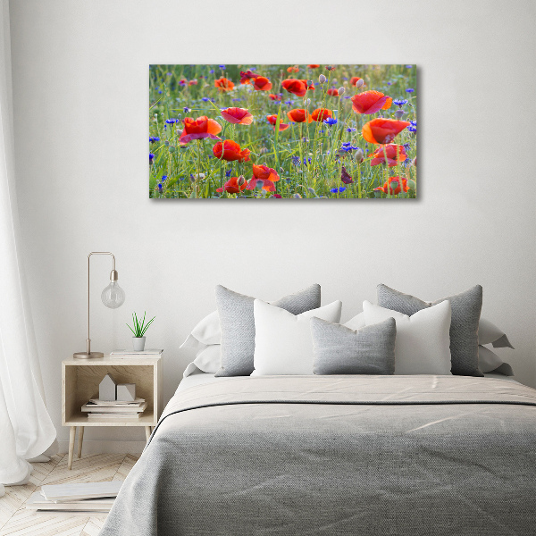 Quadro in vetro acrilico Fiori selvatici