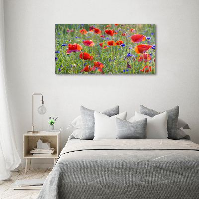 Quadro in vetro acrilico Fiori selvatici