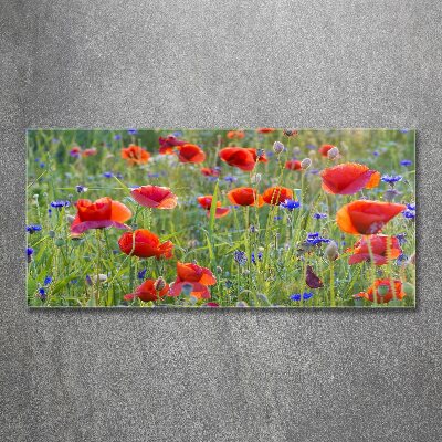 Quadro in vetro acrilico Fiori selvatici