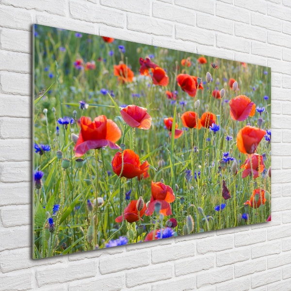 Quadro in vetro acrilico Fiori selvatici