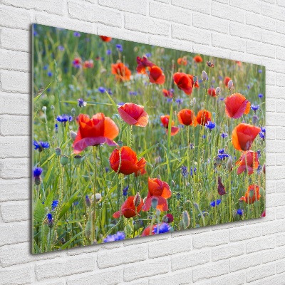 Quadro in vetro acrilico Fiori selvatici
