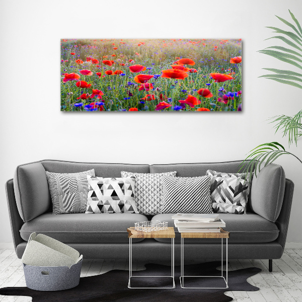 Quadro vetro acrilico Fiori selvatici