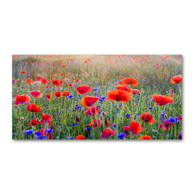 Quadro vetro acrilico Fiori selvatici