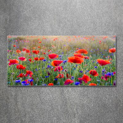 Quadro vetro acrilico Fiori selvatici