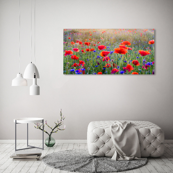 Quadro vetro acrilico Fiori selvatici