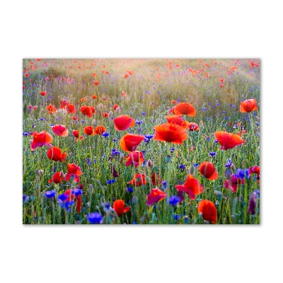 Quadro vetro acrilico Fiori selvatici