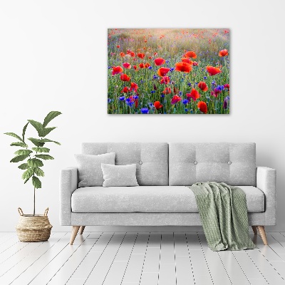 Quadro vetro acrilico Fiori selvatici