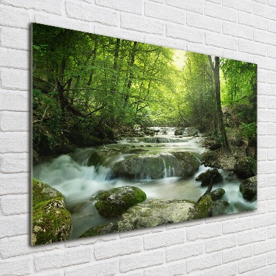 Quadro in vetro acrilico Cascata nella foresta