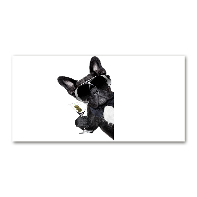 Quadro vetro acrilico Cane Martini