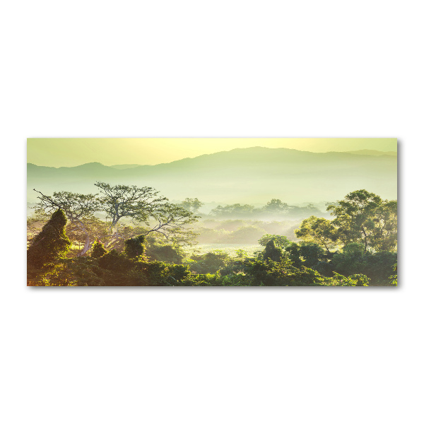 Quadro in vetro acrilico Giungla