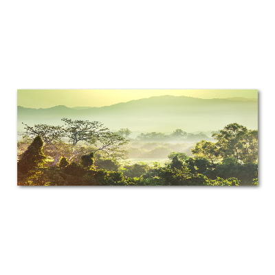 Quadro in vetro acrilico Giungla