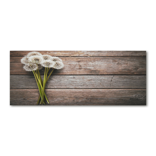 Quadro su vetro acrilico Legno di tarassaco