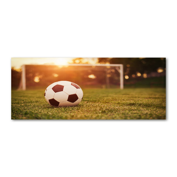Quadro su vetro acrilico La palla sul campo