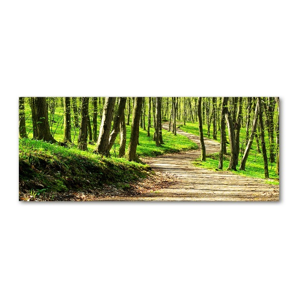 Quadro vetro acrilico Sentiero nella foresta