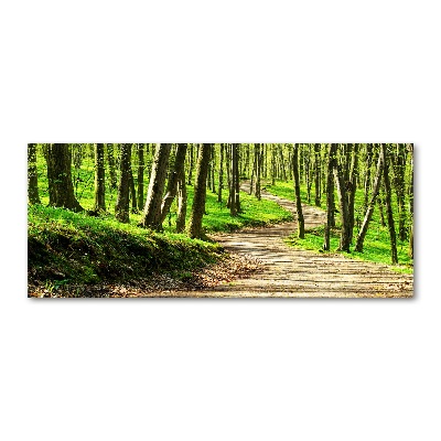 Quadro vetro acrilico Sentiero nella foresta